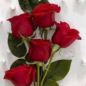 Meet your Posher, Rivera